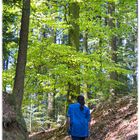 Spaziergang im Wald