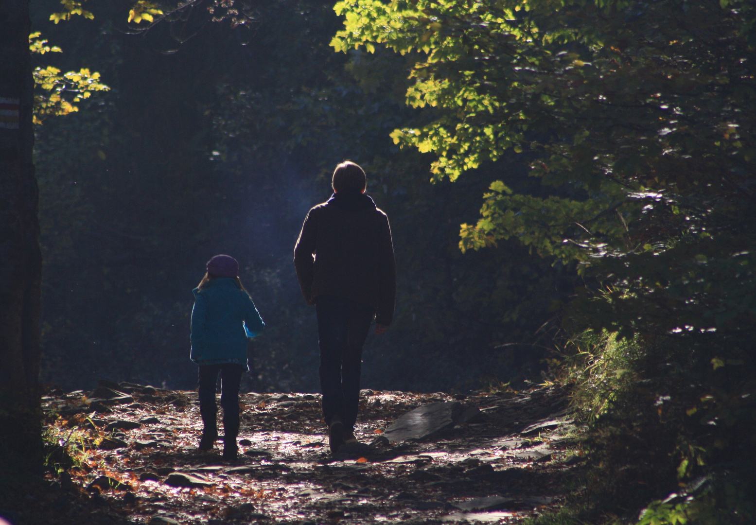 Spaziergang im Wald