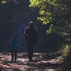 Spaziergang im Wald