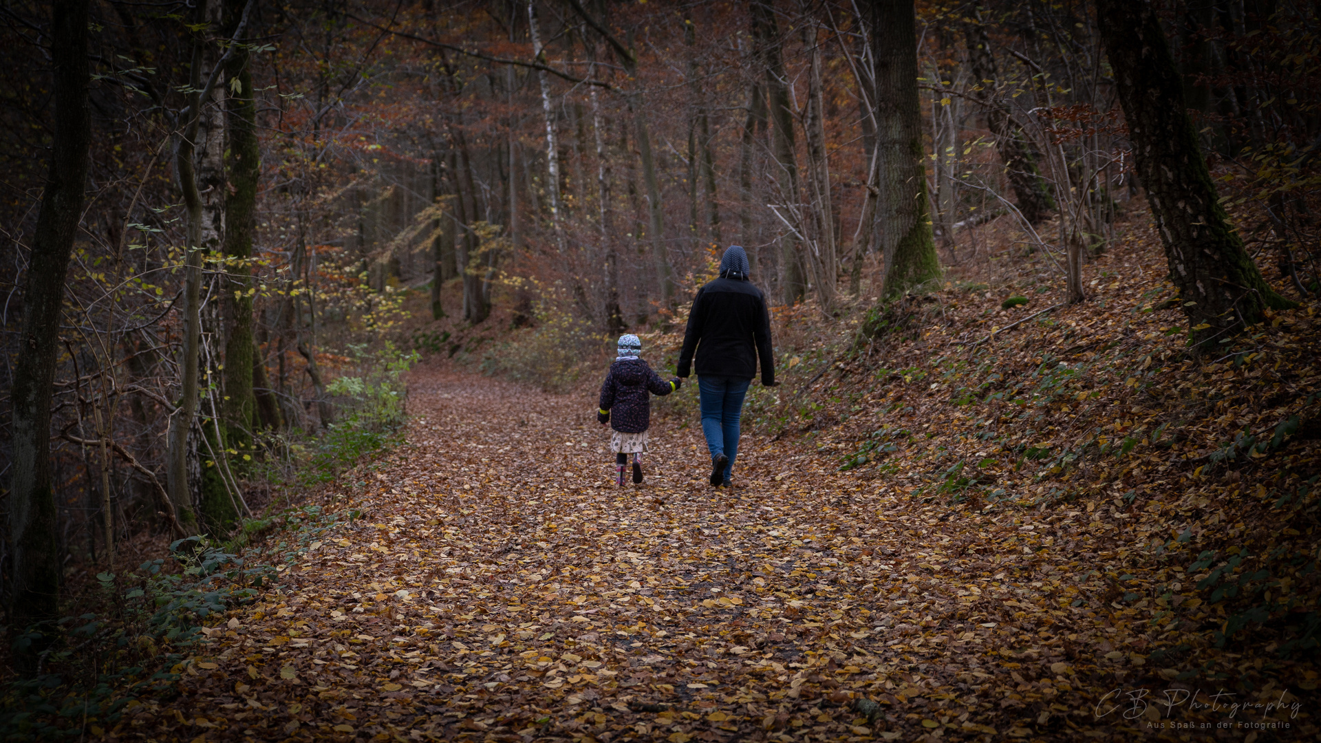 Spaziergang im Wald