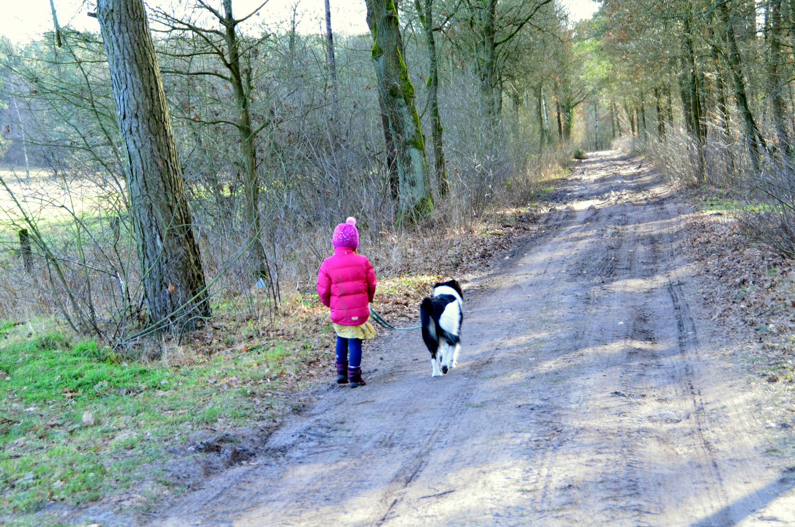 Spaziergang im Wald