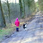 Spaziergang im Wald