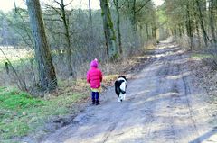 Spaziergang im Wald