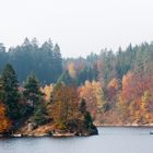 Spaziergang im Waldviertel