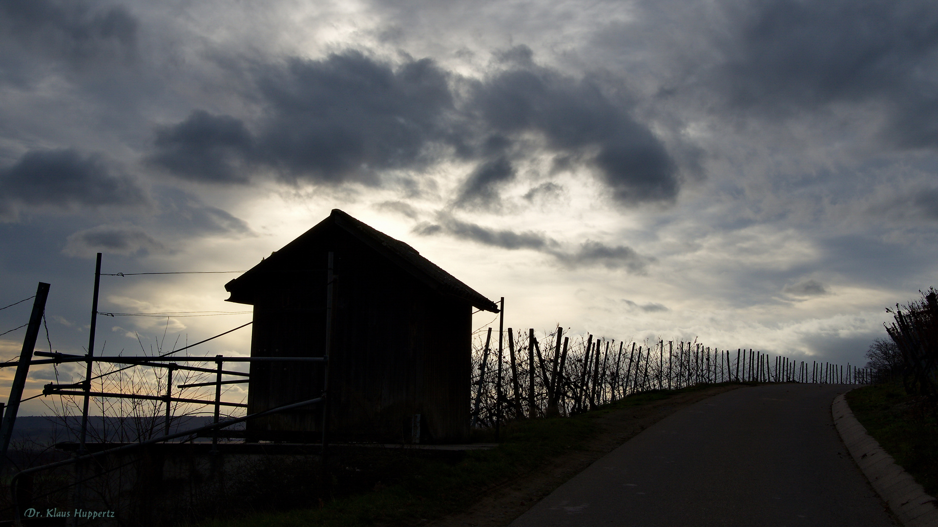 Spaziergang im Weinberg (1)