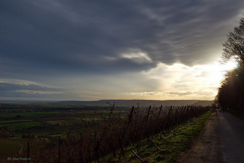 Spaziergang im Weinberg (2)