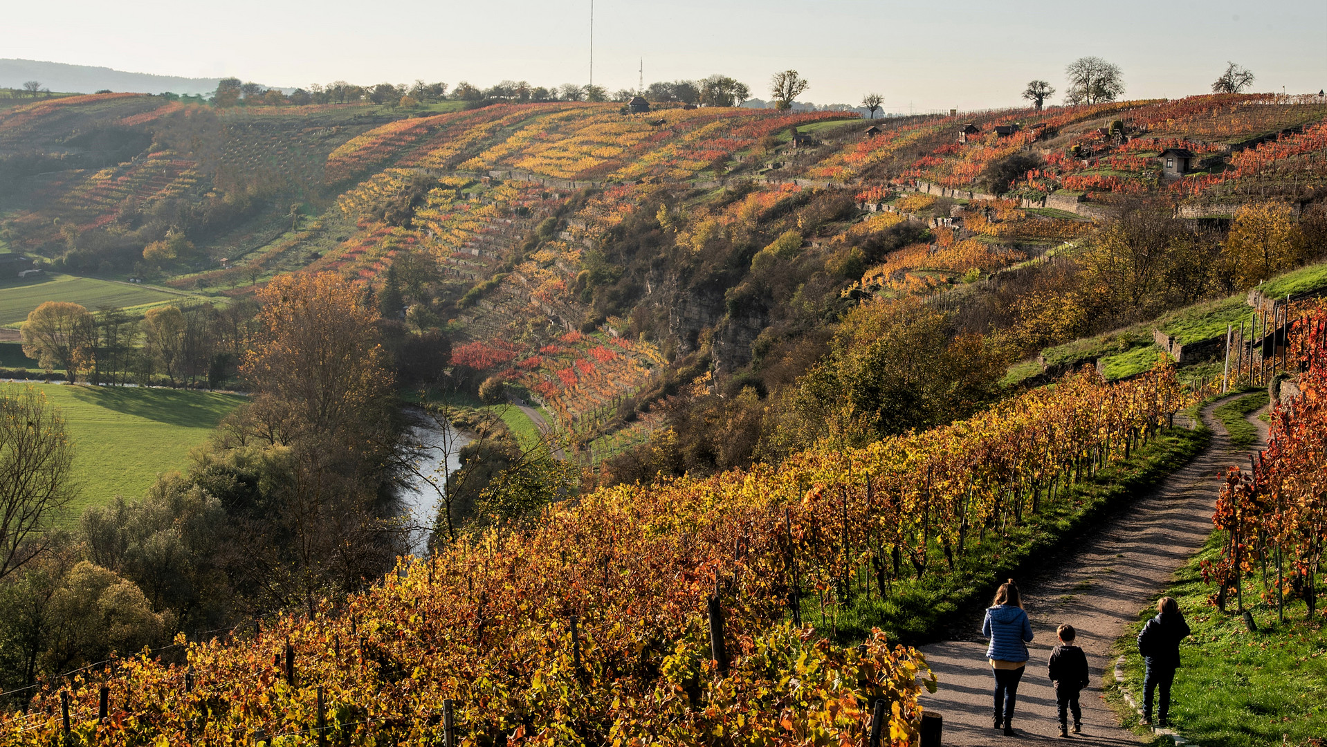 Spaziergang im Weinberg