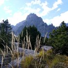 Spaziergang im Wimbachtal