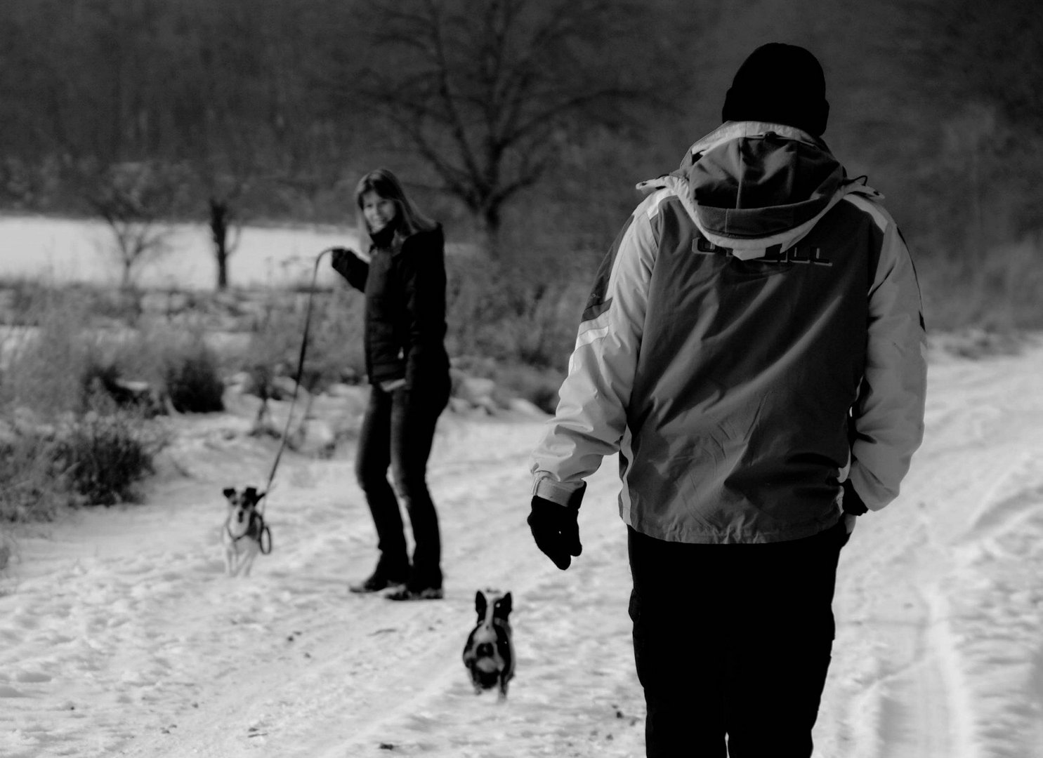 Spaziergang im Winter