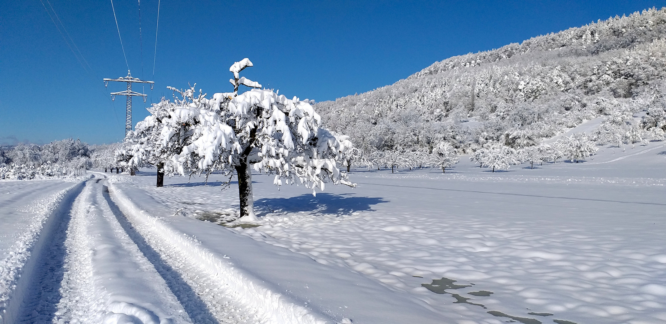 Spaziergang im Winter