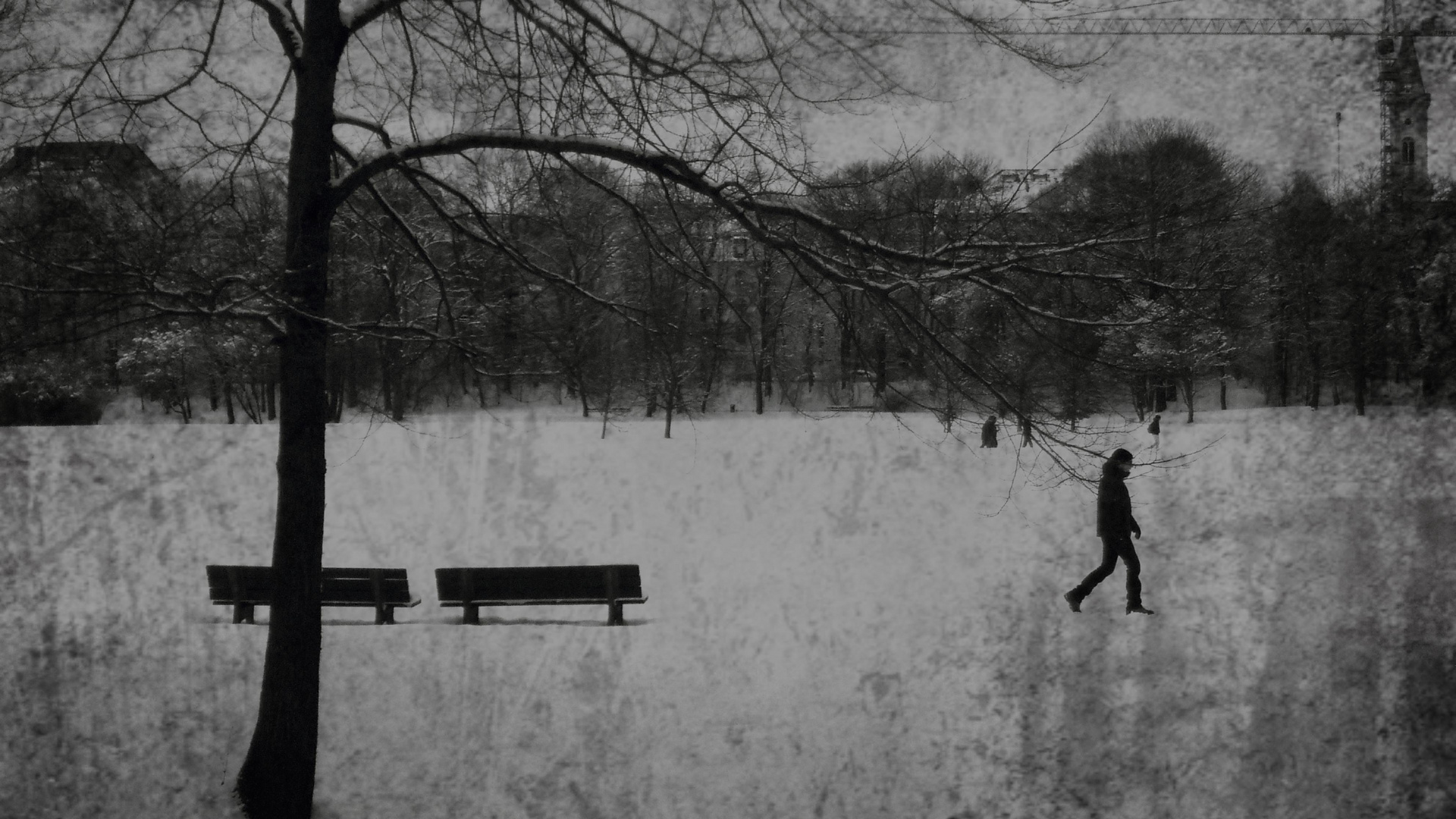 Spaziergang im Winter