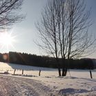 Spaziergang im Winter