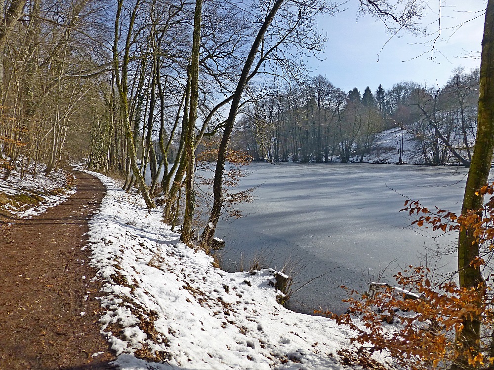 Spaziergang im Winter