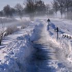 Spaziergang im Winter