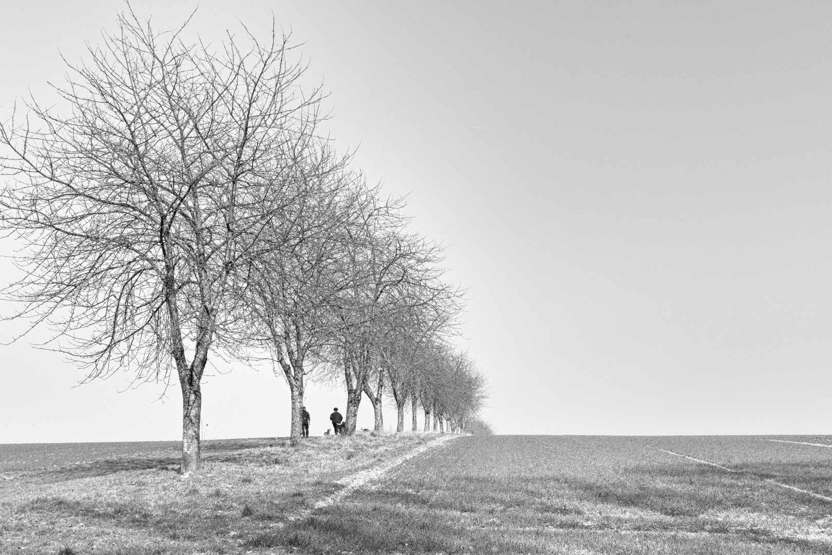 Spaziergang im Winter