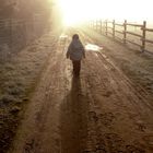 Spaziergang im Winter