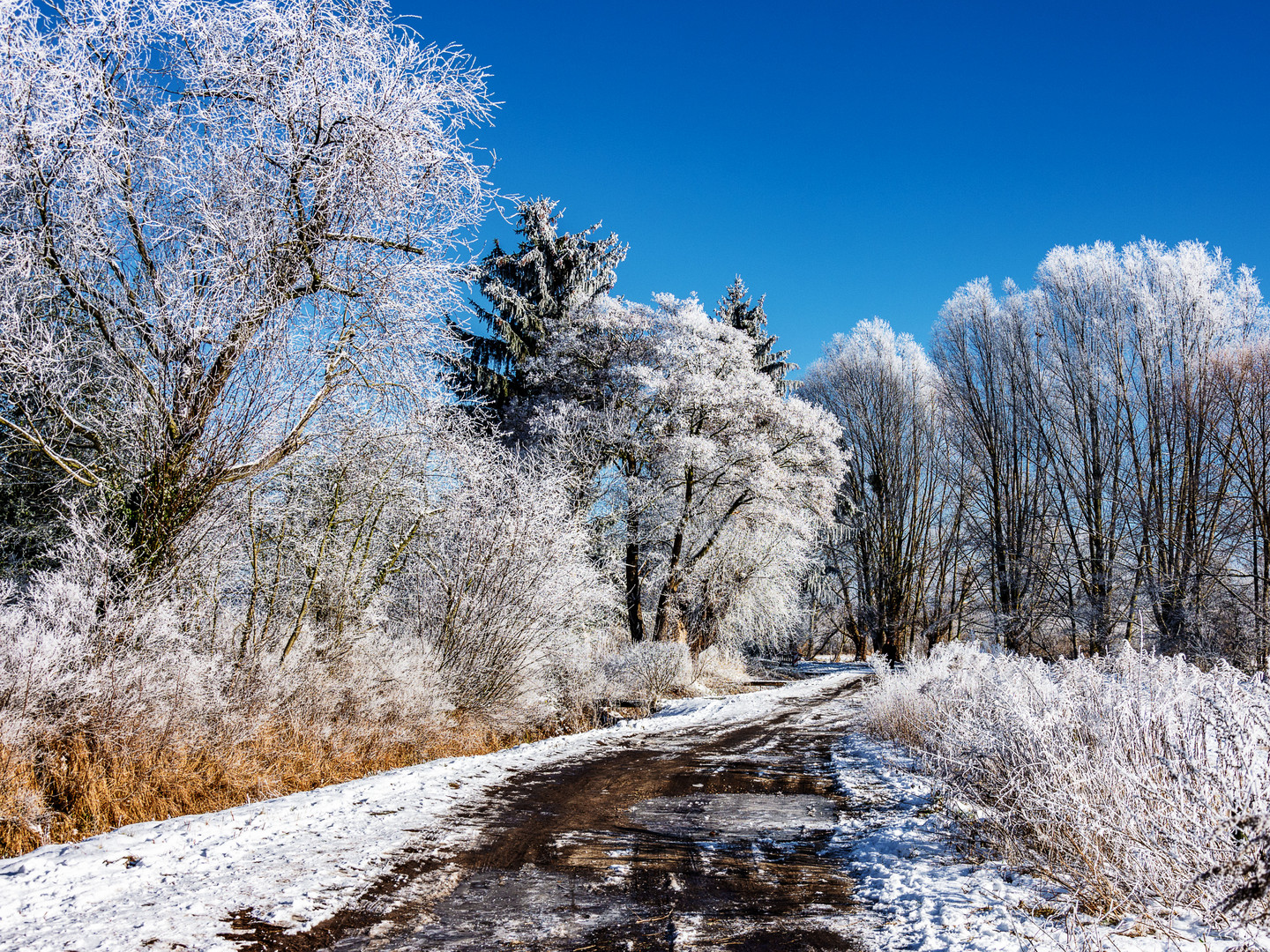 Spaziergang im Winter