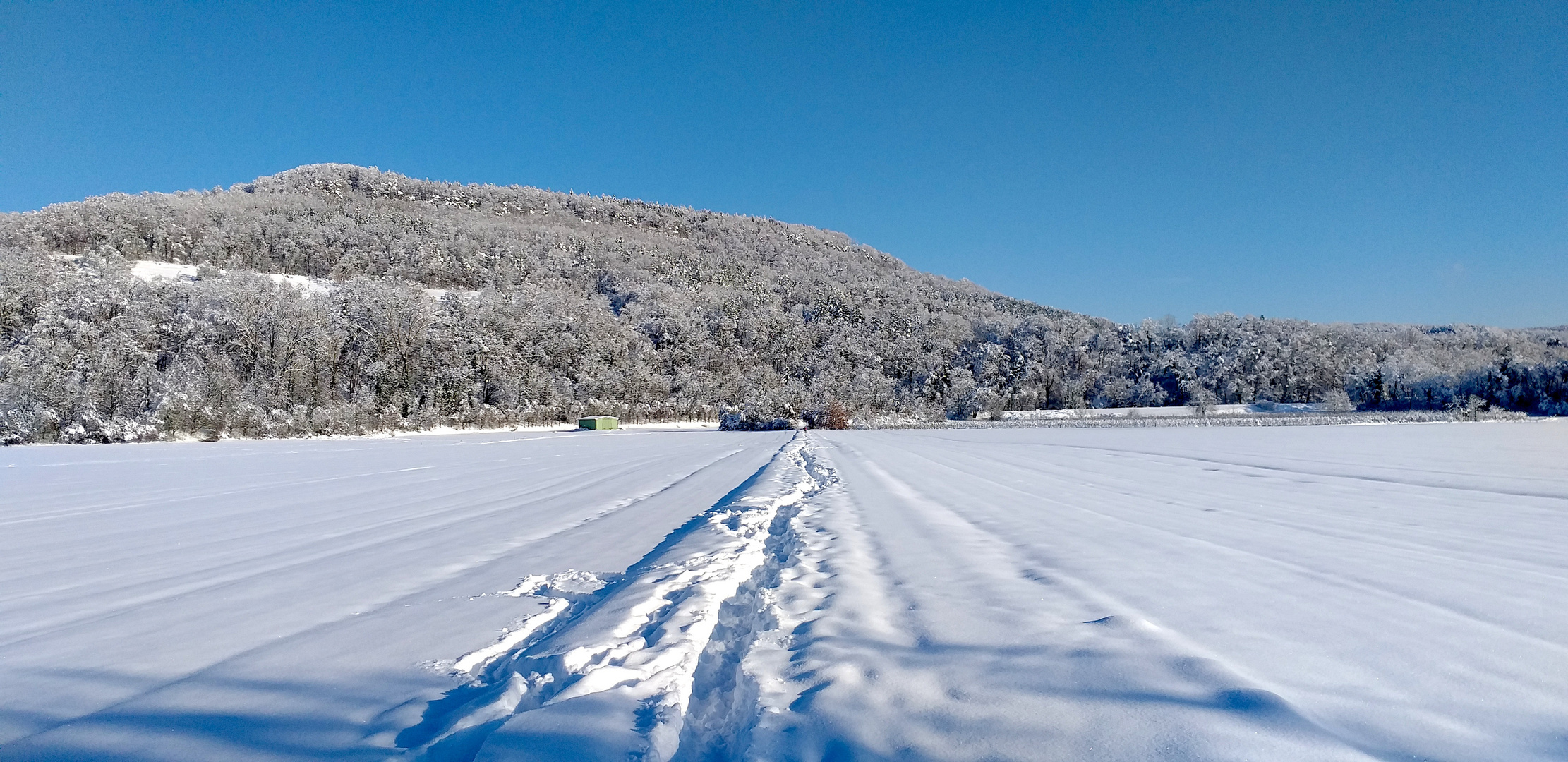 Spaziergang im Winter