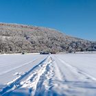 Spaziergang im Winter