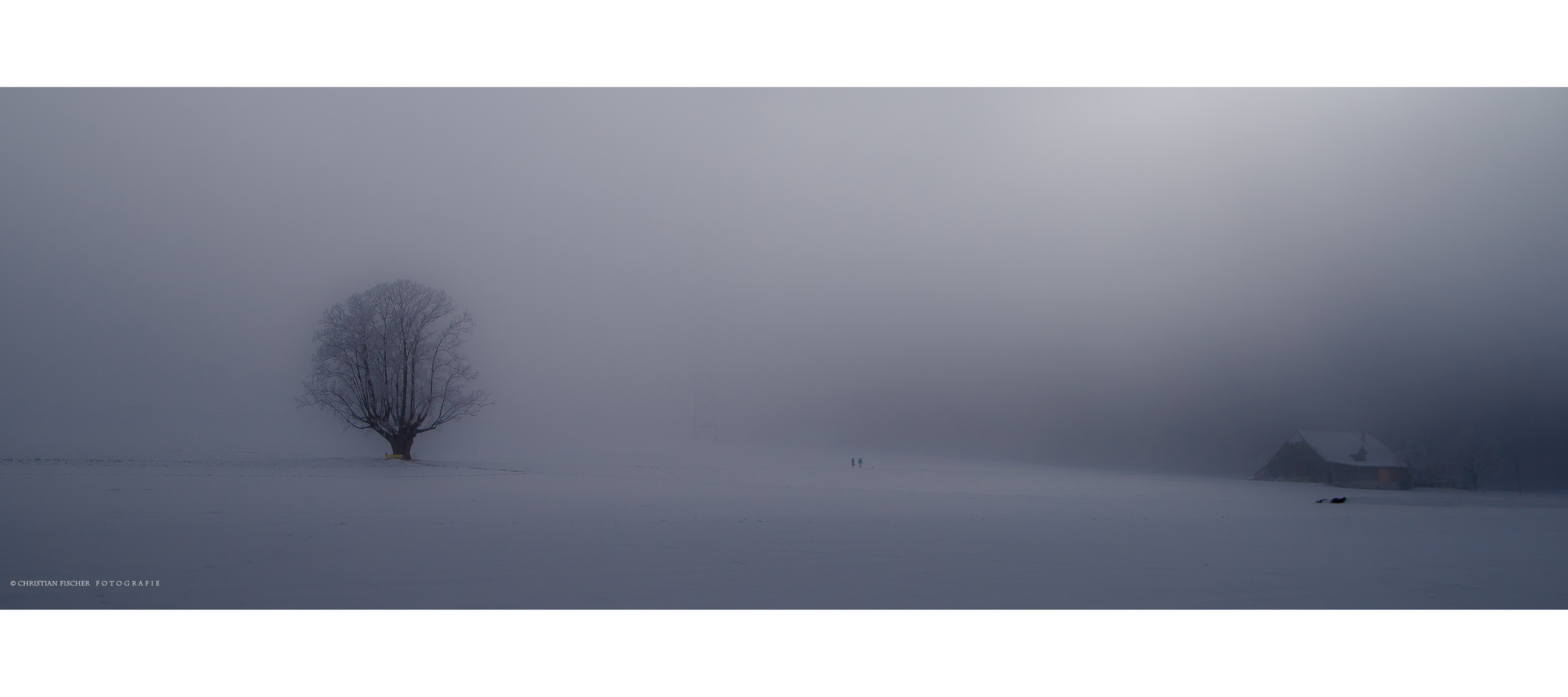 Spaziergang im winterlichen Nebel