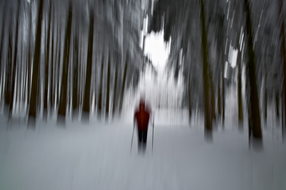 Spaziergang im Winterwald Foto & Bild | europe, schweiz & liechtenstein ...