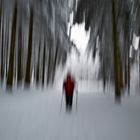 Spaziergang im Winterwald