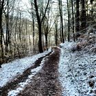 Spaziergang im Winterwald