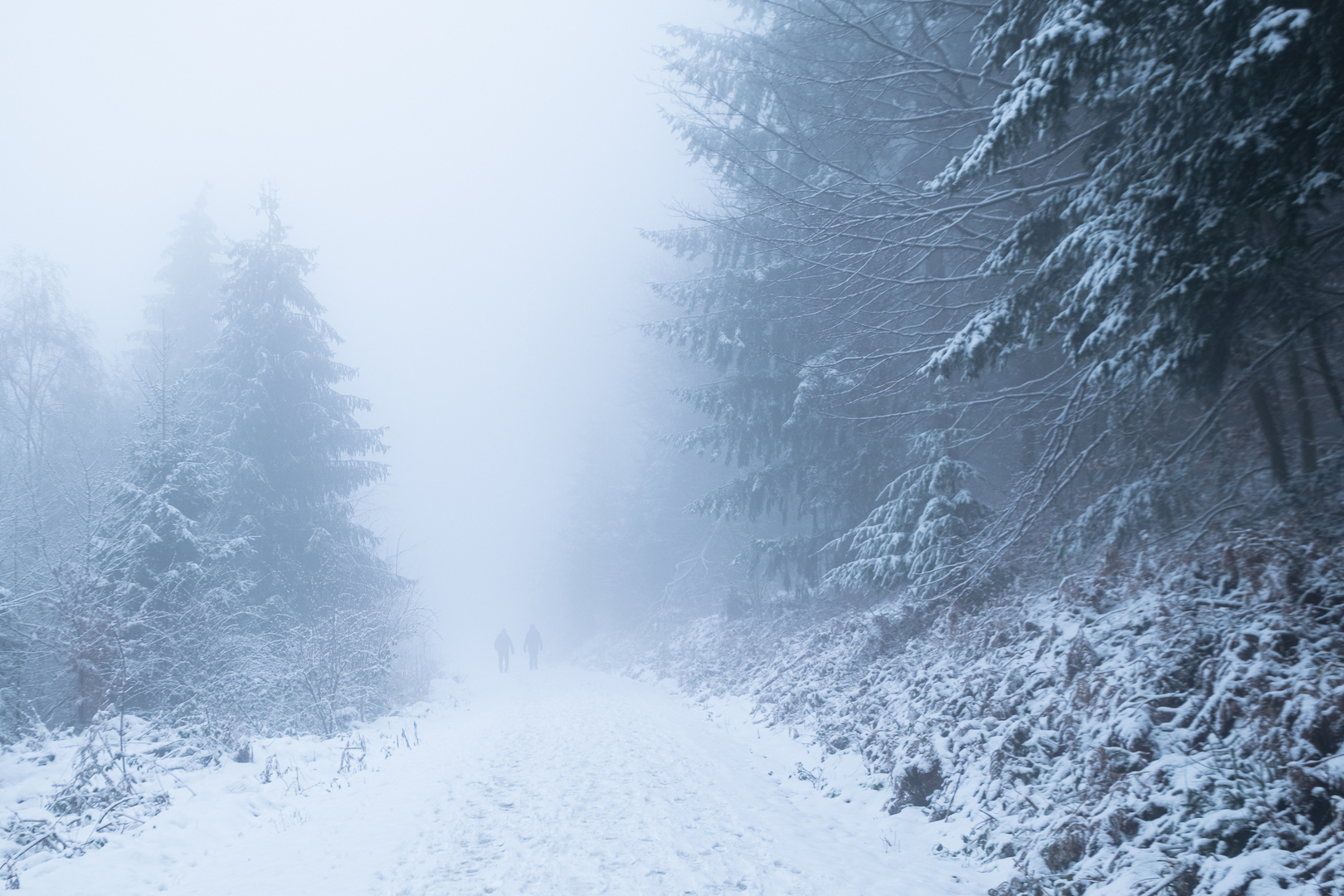 Spaziergang im Winterwald