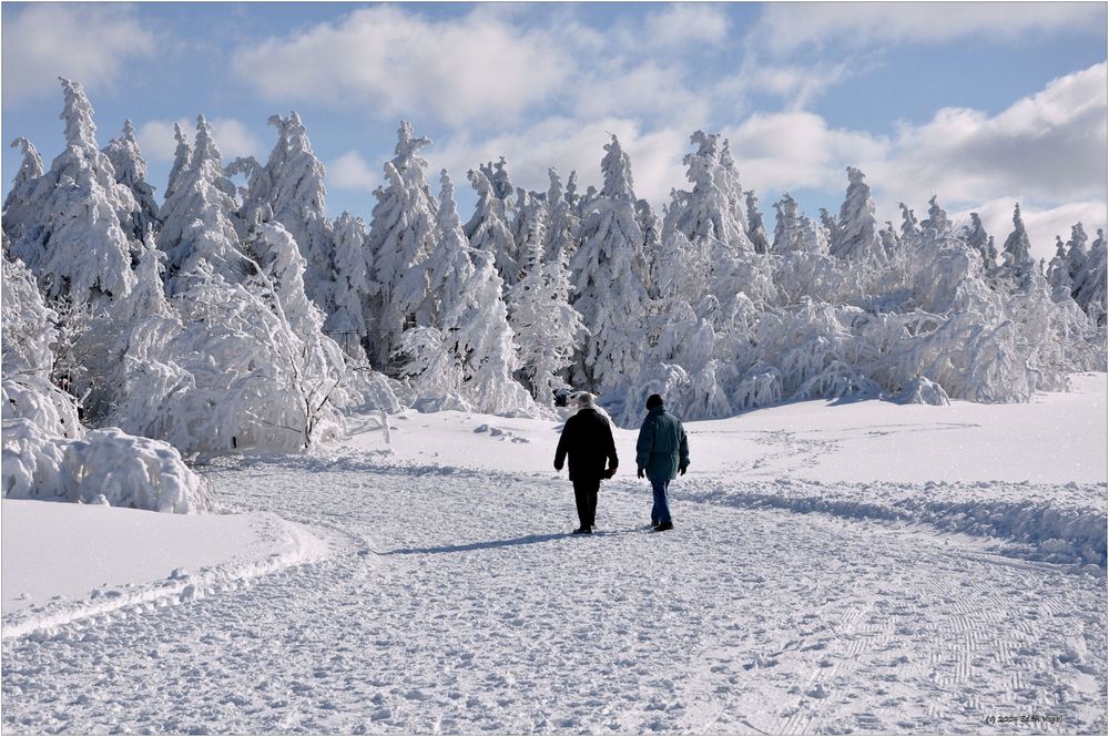 Spaziergang im Winterwunderland