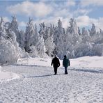 Spaziergang im Winterwunderland