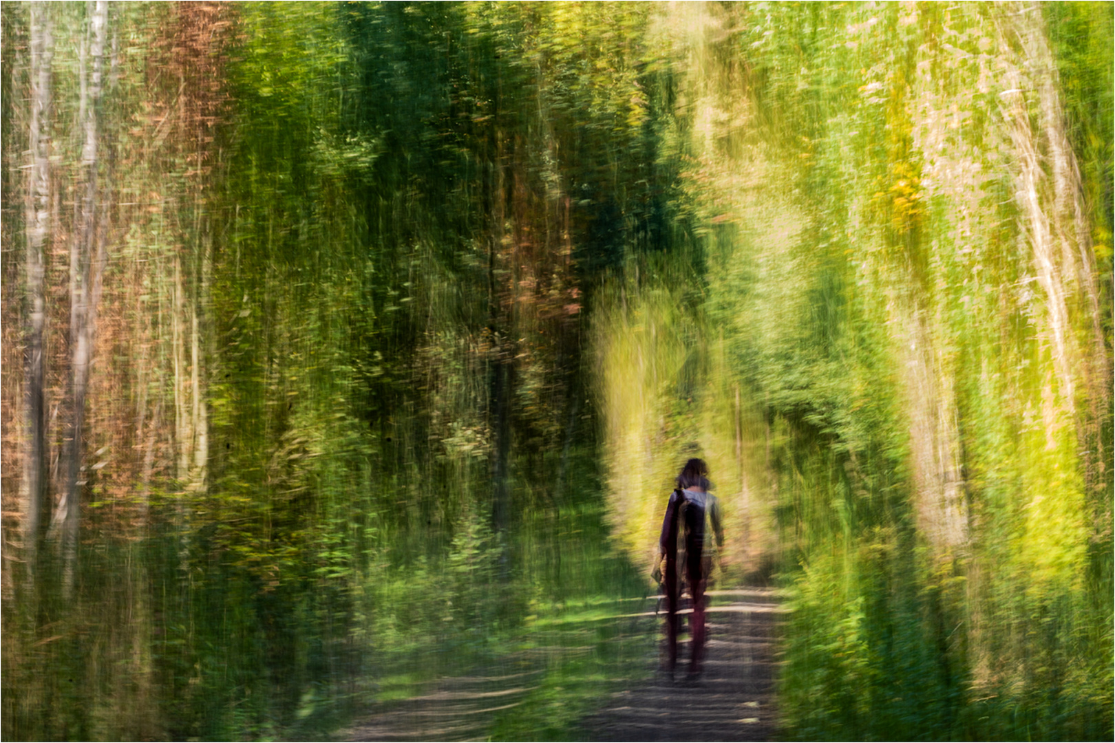 Spaziergang im Zauberwald