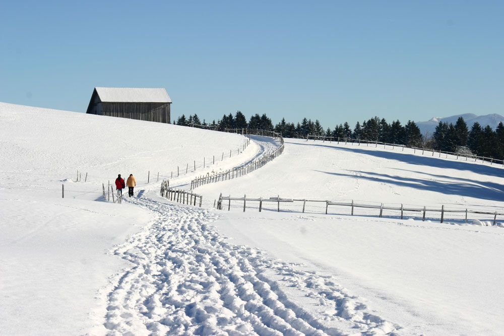 Spaziergang in Aleuthen