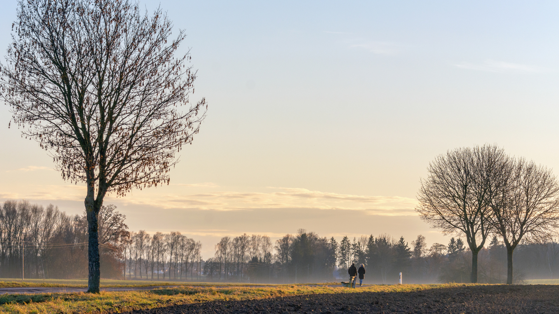 Spaziergang in Bergheim