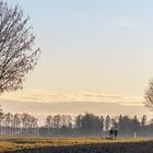 Spaziergang in Bergheim