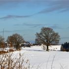 Spaziergang in Breckerfeld