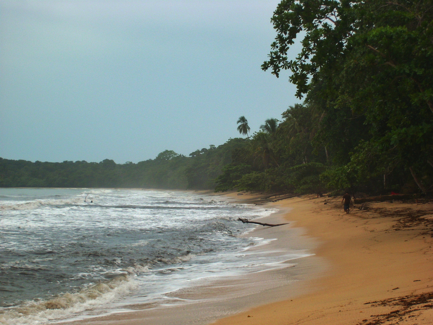 Spaziergang in Cahuita