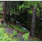 Spaziergang in Crans-Montana