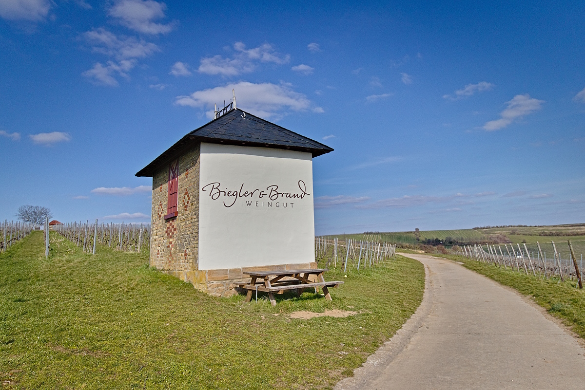 Spaziergang in den Alzeyer Weinbergen