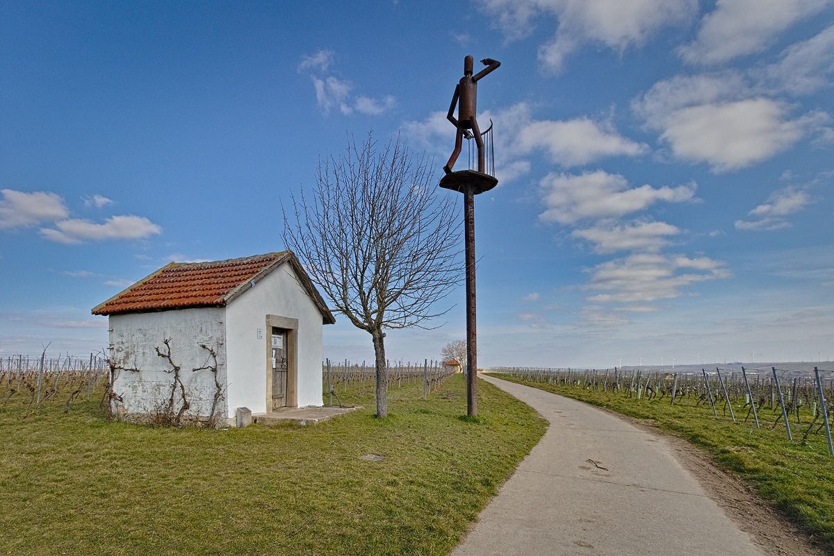 Spaziergang in den Alzeyer Weinbergen