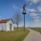 Spaziergang in den Alzeyer Weinbergen