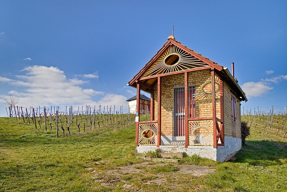 Spaziergang in den Alzeyer Weinbergen