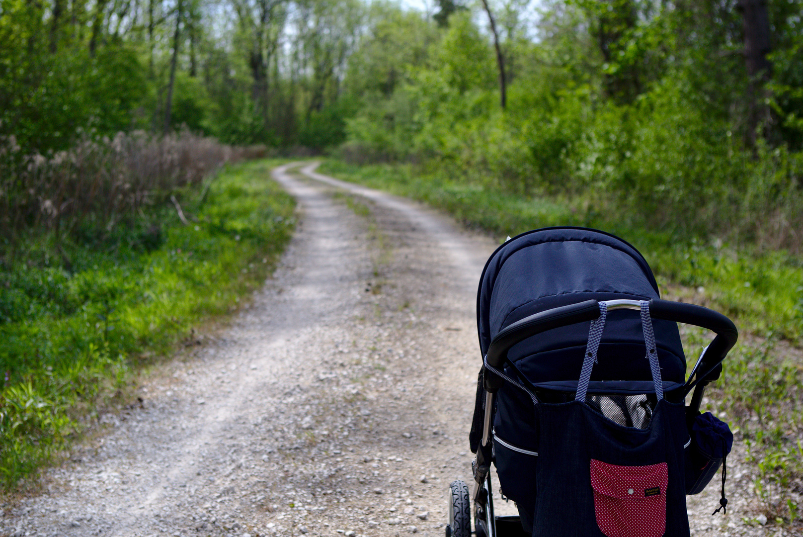 Spaziergang in den Donau-Auen