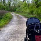 Spaziergang in den Donau-Auen