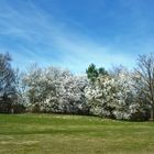 Spaziergang in den Frühling