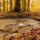 Spaziergang in den Herbst