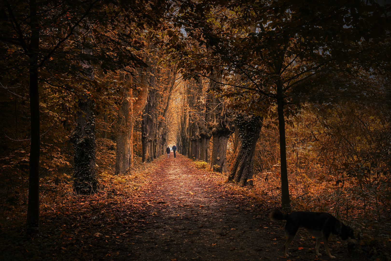 Spaziergang in den Herbst