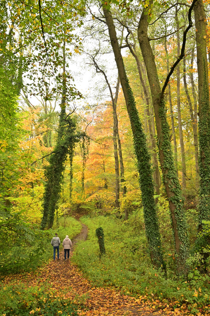 Spaziergang in den Herbst