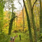 Spaziergang in den Herbst