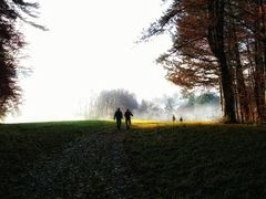 Spaziergang in den Nebel