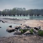 Spaziergang in den Rheinauen